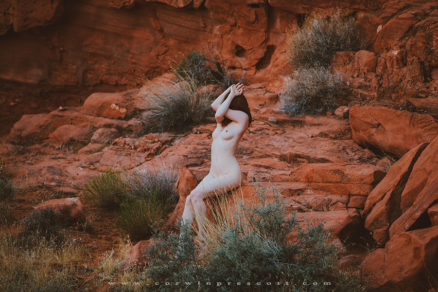 Amber Rose / McConnell / amberrosemc Nude  Set 19